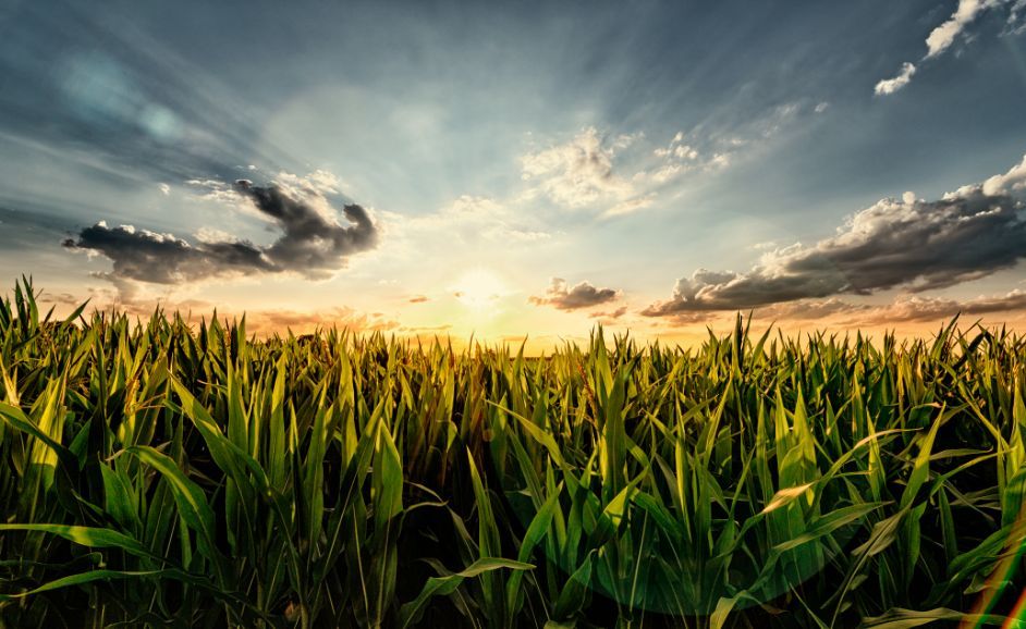 Biorganics GmbH