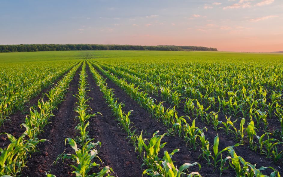 Biorganics GmbH