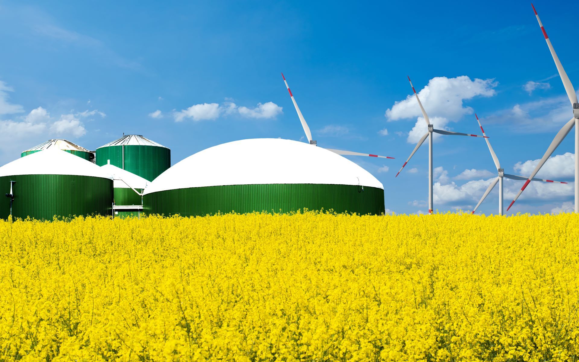 Biogasanlage zwischen einem Rapsfeld