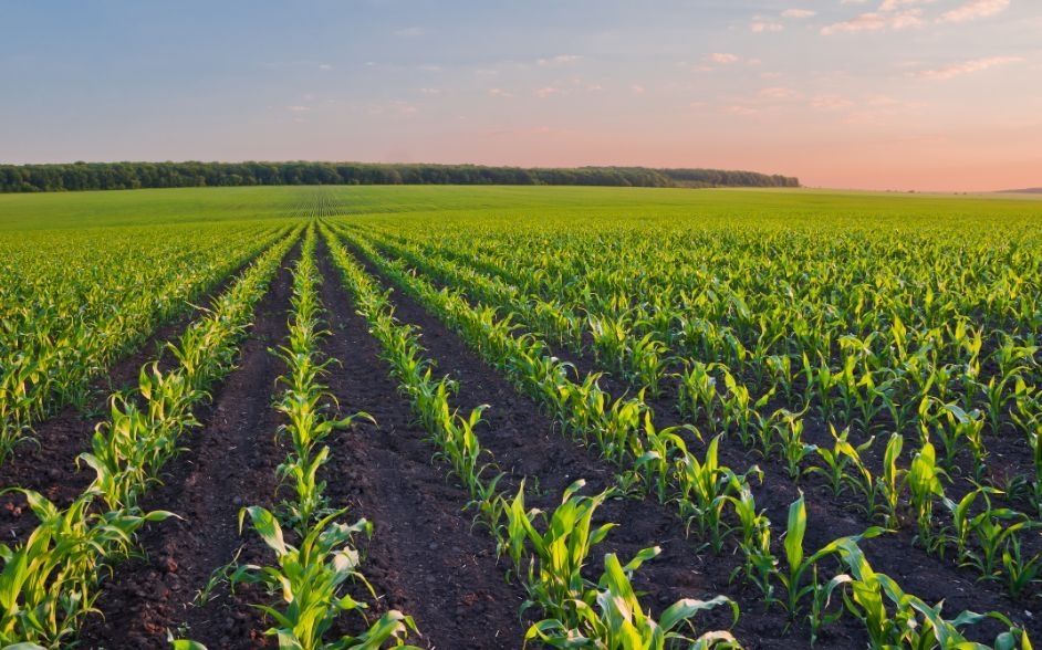 Biorganics GmbH